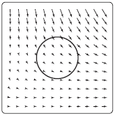 A vector field with a circle path in the middle