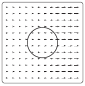 A vector field with a circle path in the middle