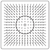 A vector field with a circle path in the middle